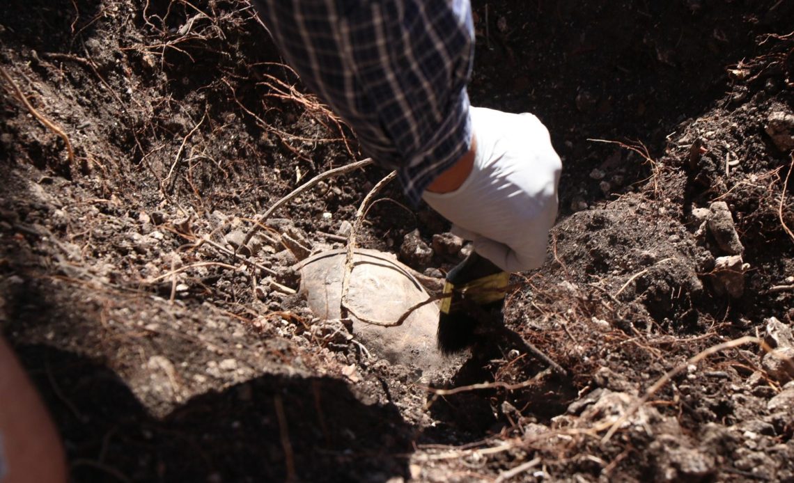 Suben a 17 los cuerpos encontrados en fosas clandestinas en el sur de México