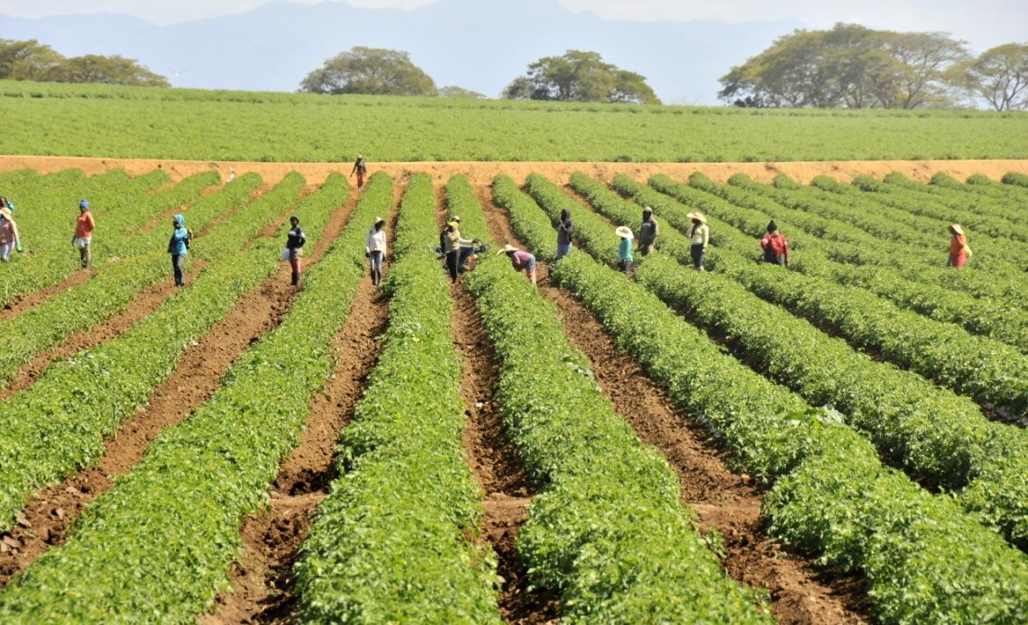 ANPA se reunirá con Abinader para abordar reivindicaciones del sector agropecuario